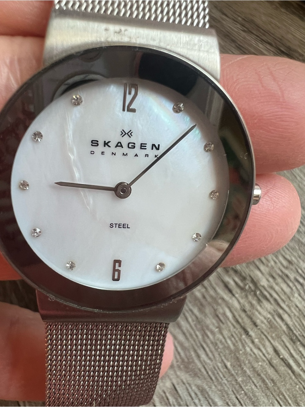 Skagen Silver Mesh Watch with Mother of Pearl Dial